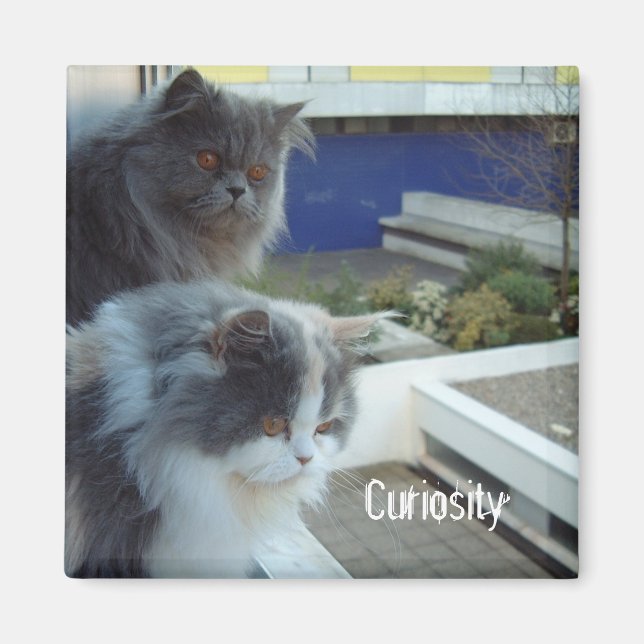 Curiosity Magnet (Front)