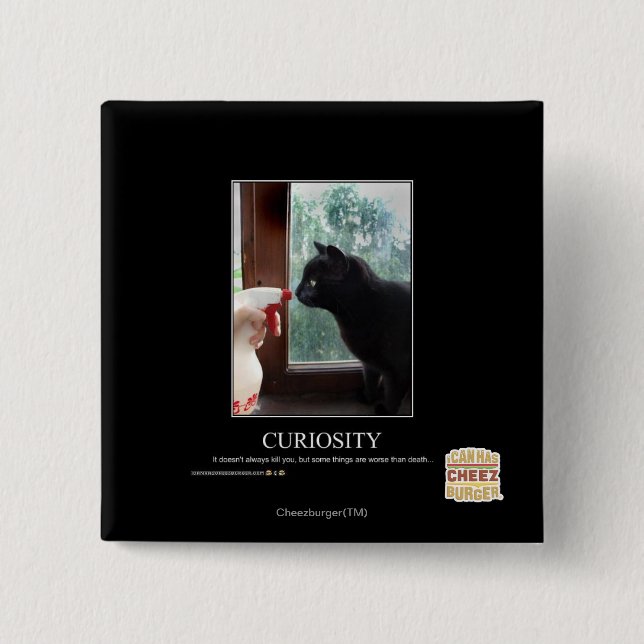 Curiosity Pinback Button (Front)