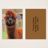 Curious Alpaca ~ ATC (Front & Back)