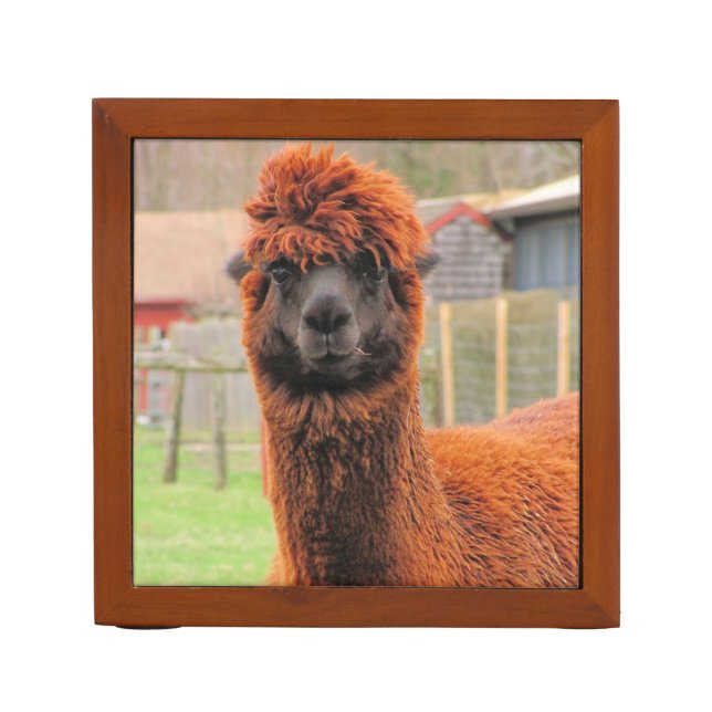 Curious Alpaca ~ Desk Organizer (Front)