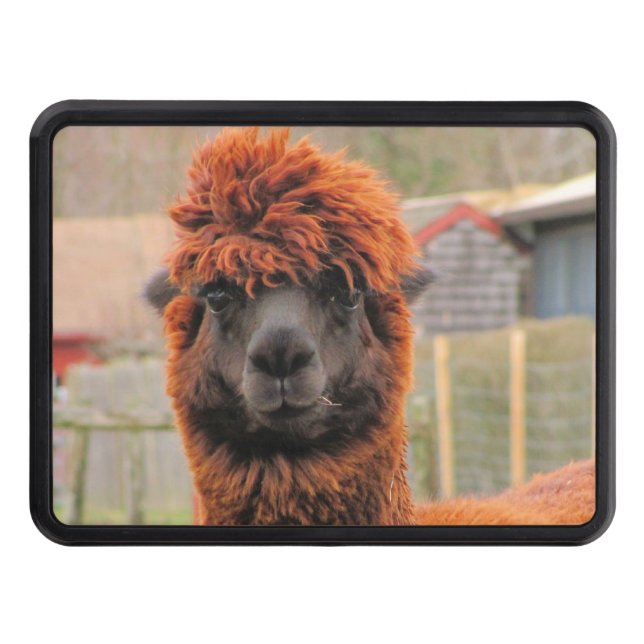Curious Alpaca ~ Hitch cover (Front)