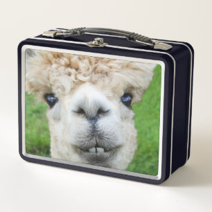 Curious Alpaca Photo Metal Lunch Box