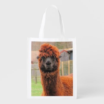 Curious Alpaca ~ Poly Bag by Andy2302 at Zazzle