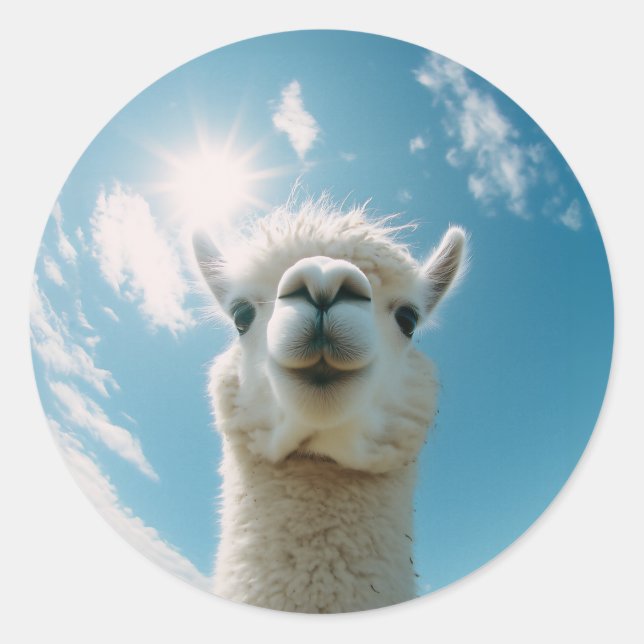 Curious Alpaca Under the Sun Classic Round Sticker (Front)
