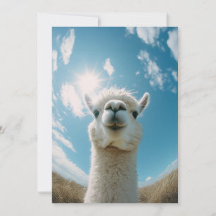 Curious Alpaca Under the Sun Invitation