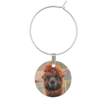 Curious Alpaca ~ Wine Charm by Andy2302 at Zazzle