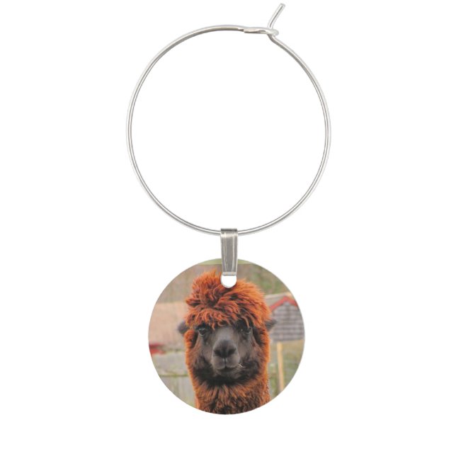Curious Alpaca ~ Wine Charm (Front)