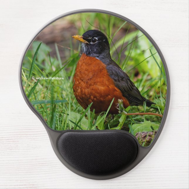 Curious American Robin Songbird in the Grass Gel Mouse Pad (Front)