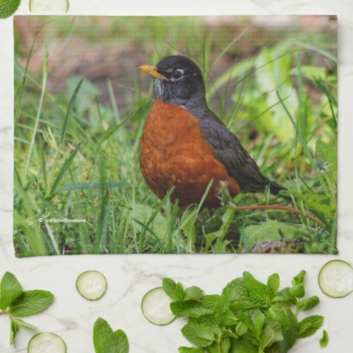 Curious American Robin Songbird in the Grass Kitchen Towel