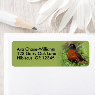 Curious American Robin Songbird in the Grass Label