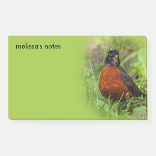 Curious American Robin Songbird in the Grass Post_it Notes