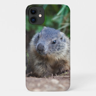 Curious Baby Marmot iPhone 11 Case