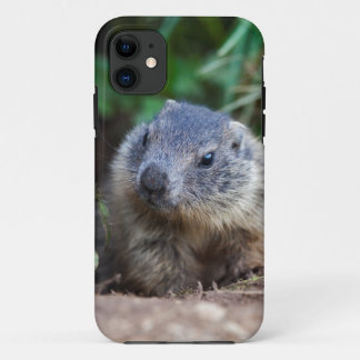 Curious Baby Marmot iPhone 5 Case
