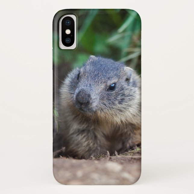 Curious Baby Marmot iPhone X Case (Back)