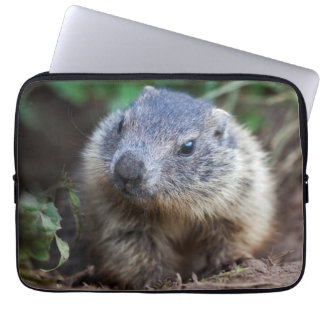 Curious Baby Marmot Laptop Sleeve