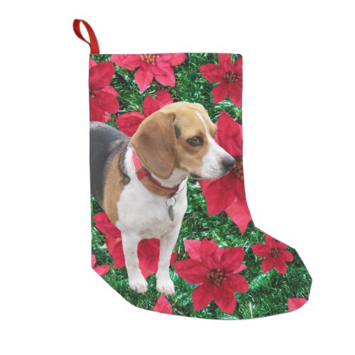 Curious Beagle Poinsettias Christmas Stocking
