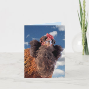 Curious Bearded Chicken Head Close-Up Card