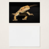 Curious Bearded Dragon (Front & Back)
