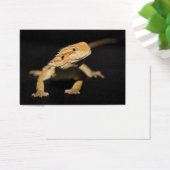 Curious Bearded Dragon (Desk)