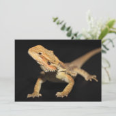 Curious Bearded Dragon 3 (Standing Front)