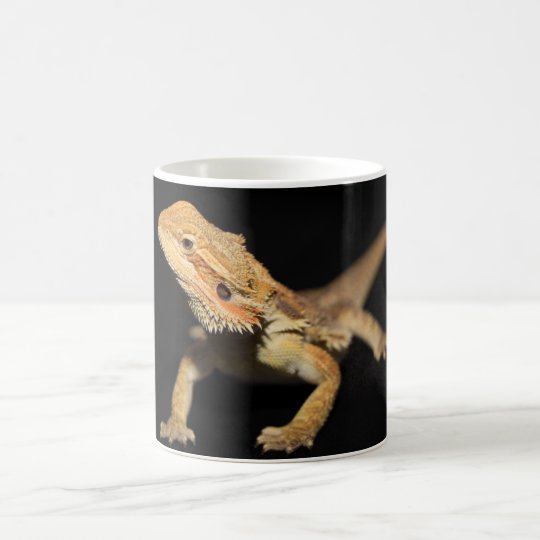 Curious Bearded Dragon 3 Coffee Mug