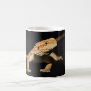 Curious Bearded Dragon Coffee Mug
