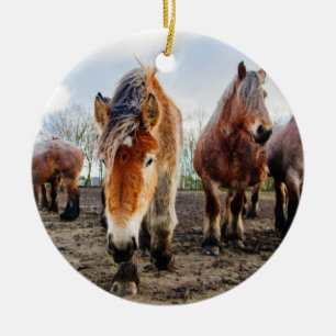 Curious Belgian Draft Horses From Below Ceramic Ornament