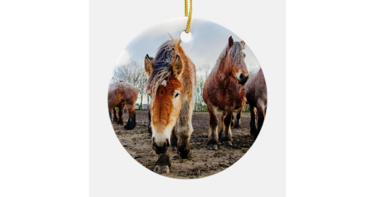Belgian Horses in Harness - two sided Ornament