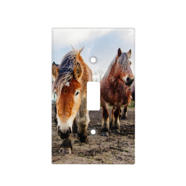 Curious Belgian Draft Horses From Below Light Switch Cover (Front)