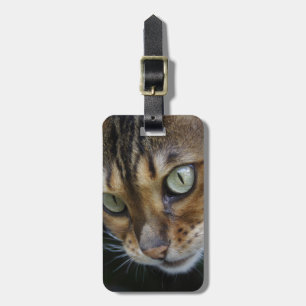 Curious Bengal Cat Luggage Tag
