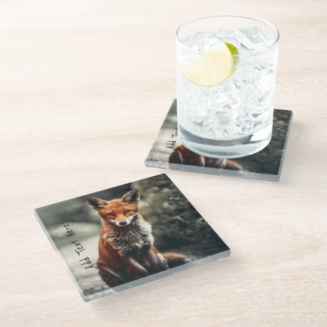 Curious Big Red and White Fox Sitting in Nature Glass Coaster (Angled)