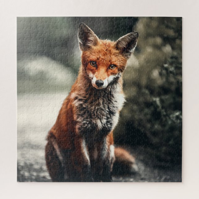 Curious Big Red and White Fox Sitting in Nature Jigsaw Puzzle (Vertical)