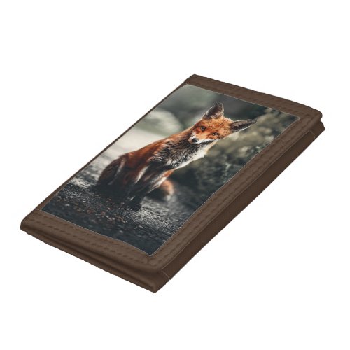 Curious Big Red and White Fox Sitting in Nature Trifold Wallet