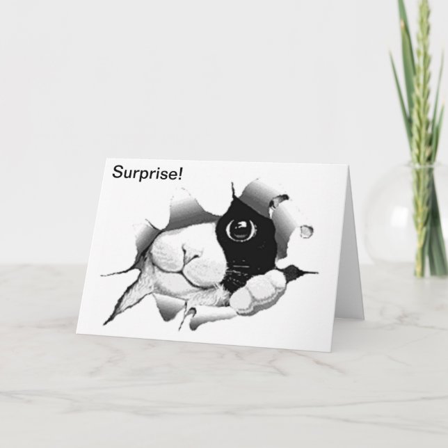 Curious Black and White Cat Birthday Surprise Card (Front)