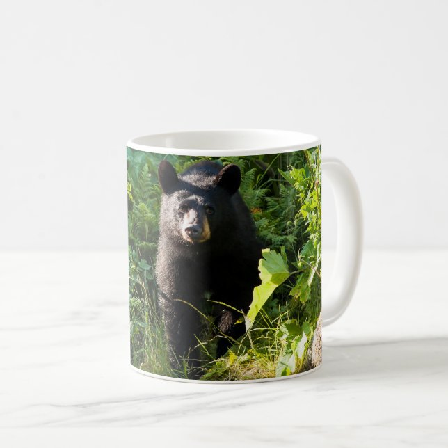 Curious Black Bear Coffee Mug (Front Right)