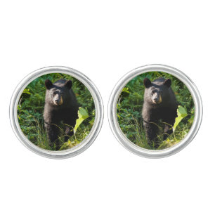 Curious Black Bear Cufflinks