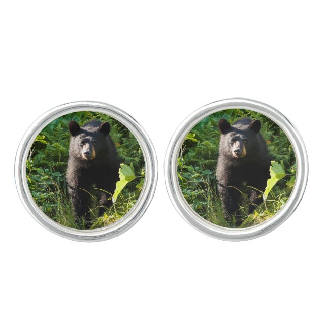 Curious Black Bear Cufflinks (Front)