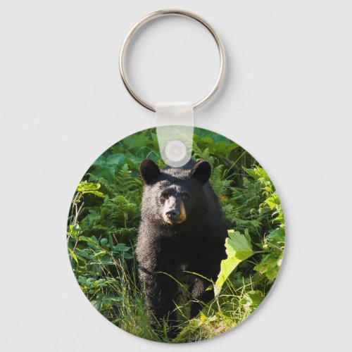 Curious Black Bear Keychain