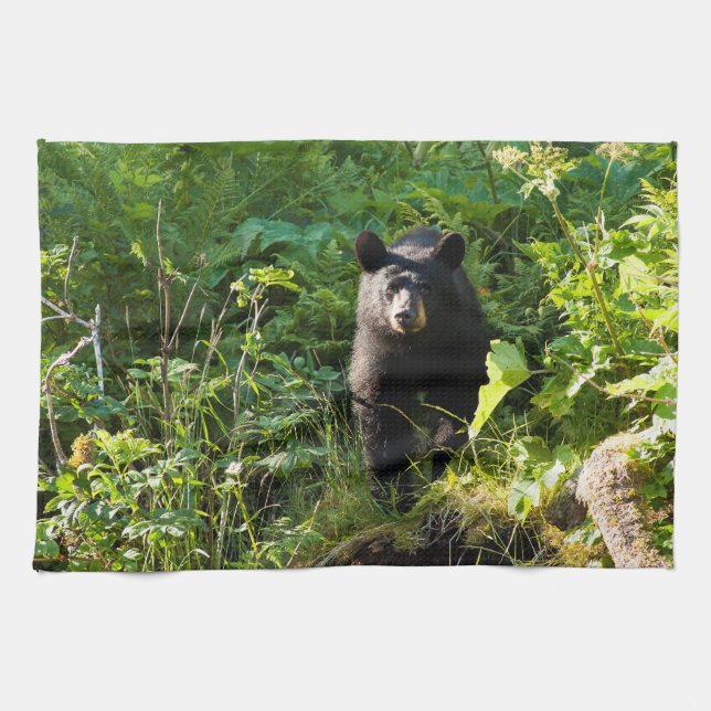 Curious Black Bear Kitchen Towel (Horizontal)