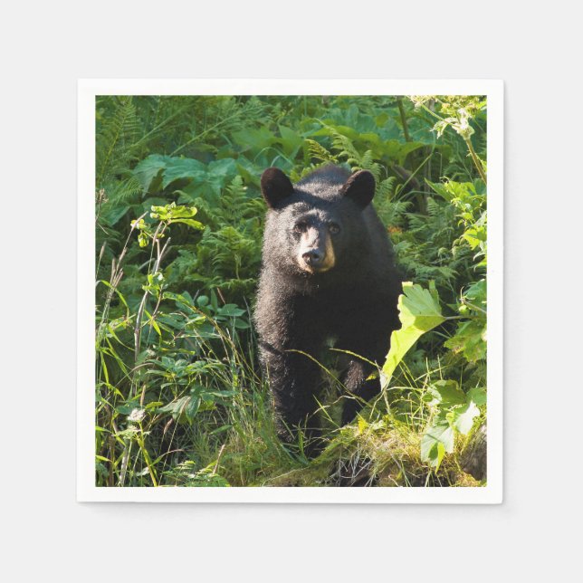 Curious Black Bear Napkins (Front)