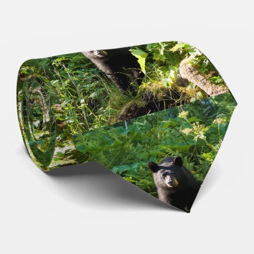 Curious Black Bear Neck Tie