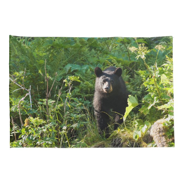 Curious Black Bear Pillow Case (Back-Right)
