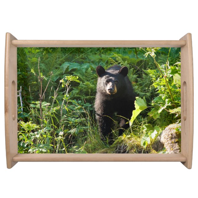 Curious Black Bear Serving Tray (Front)