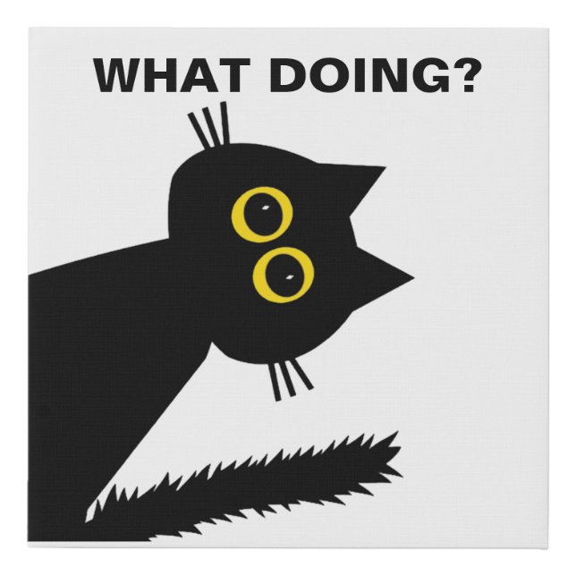 Curious Black Cat 10x10 faux canvas print (Front)