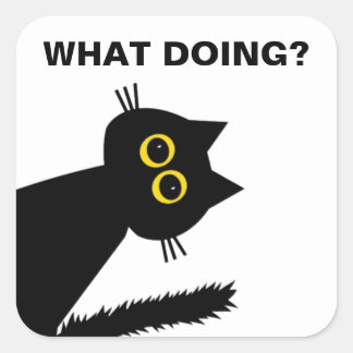 Curious Black Cat 3" stickers