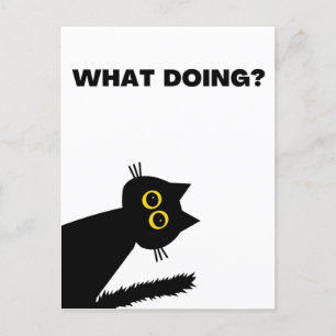 Curious Black Cat postcard