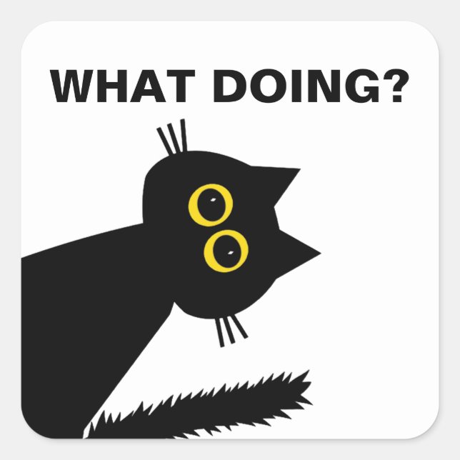 Curious Black Cat sticker (Front)