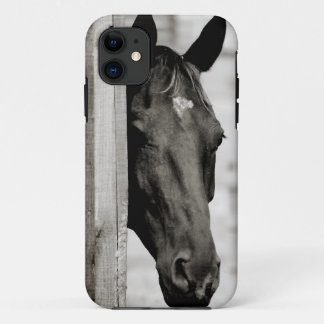 Curious Black Horse iPhone 11 Case