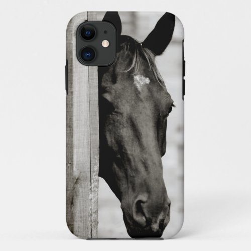 Curious Black Horse iPhone 11 Case