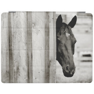 Curious Black Horse iPad Smart Cover